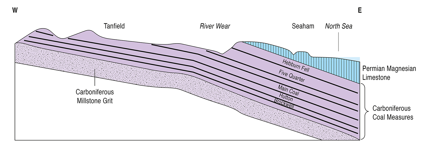 Diagram: Carboniferous Coal Measures