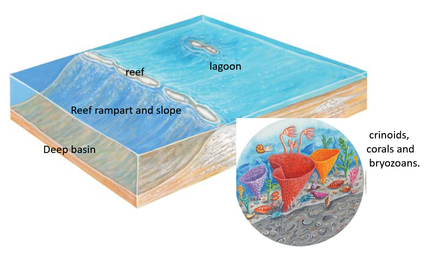 Diagram: Lagoon and reef ramparts