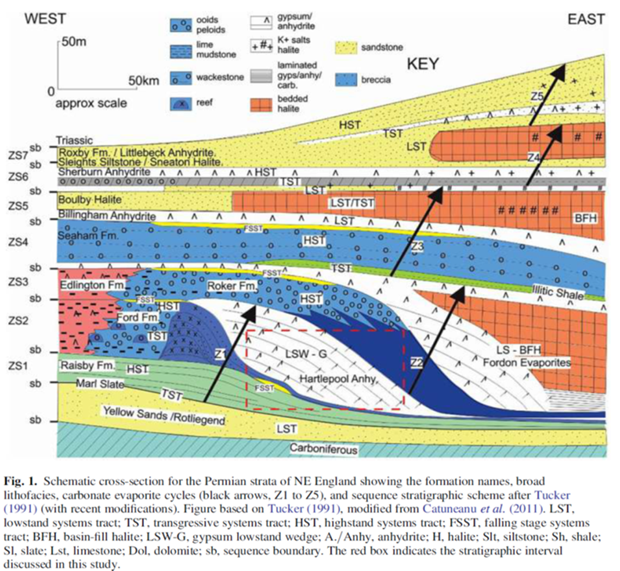 Diagram: cross-section Permian strata