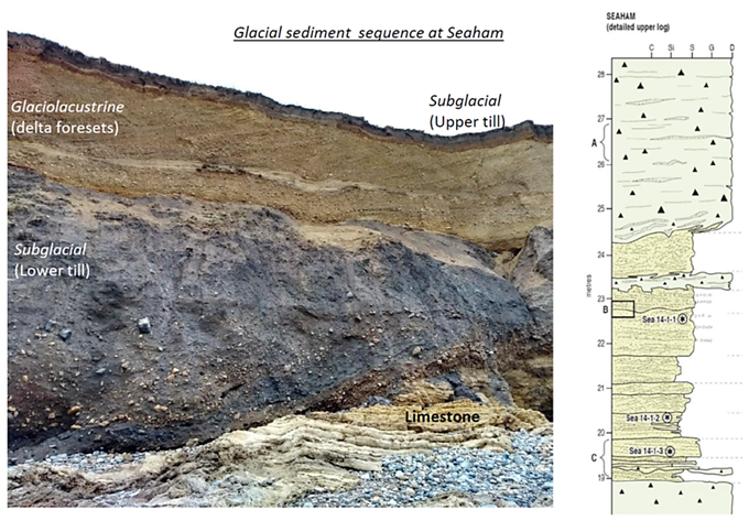 Glacial sediment sequence at Seaham