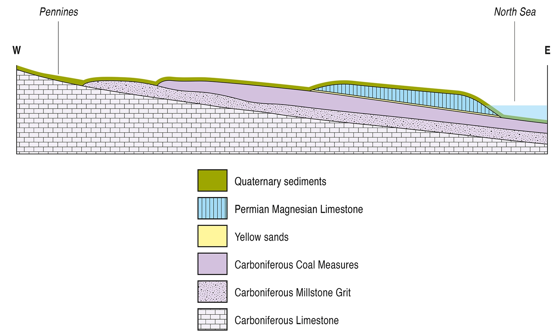 Diagram: Geological cross section of Quaternary and Permian rocks