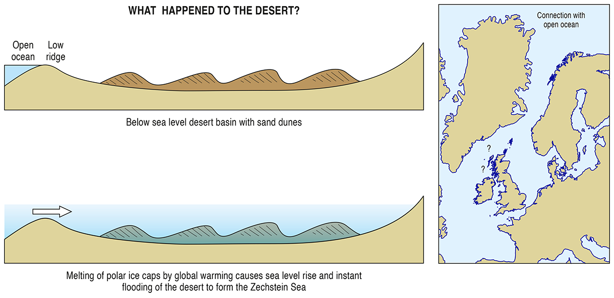 Diagram: Permian desert