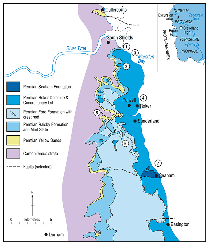 Plan of County Durham geology