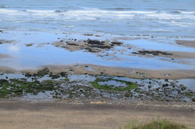 Blackhall stromatolite