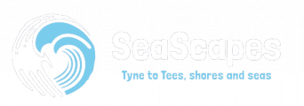 SeaScapes logo linked to website